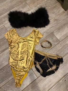 Gold Metallic dance costume